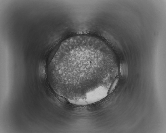 X0000111141444200908111104