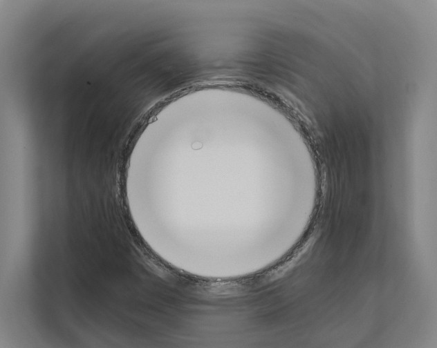 X0000111141449200908111104