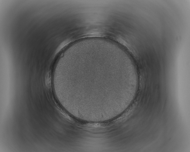 X0000111141450200908111104