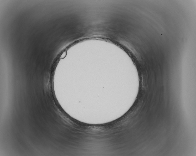 X0000111141452200908111104