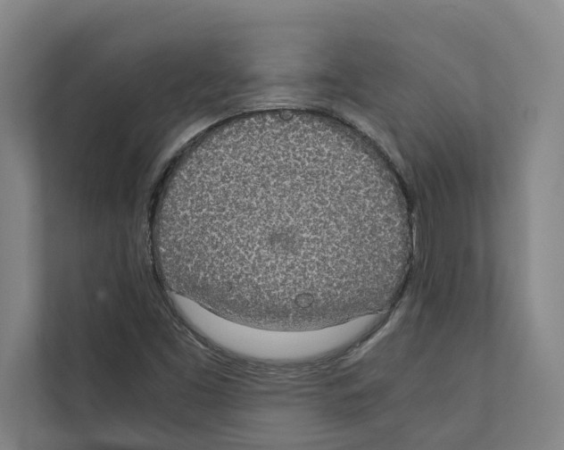 X0000111141453200908111104