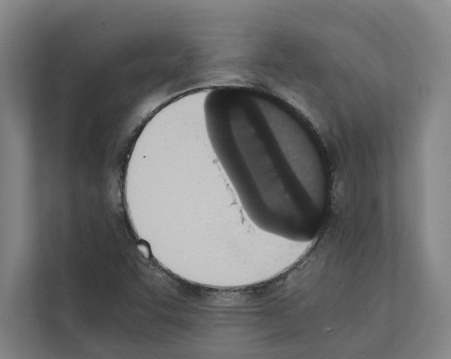 X0000111141455200908111104