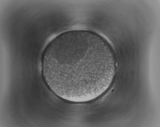 X0000111141461200908111104