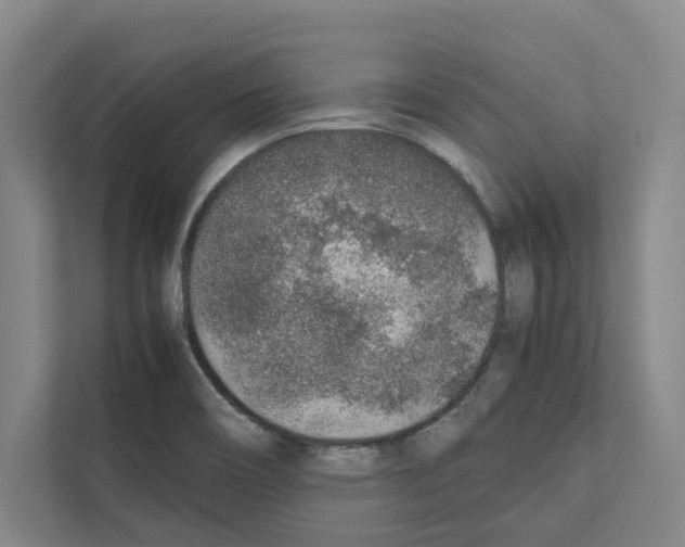 X0000111141466200908111104