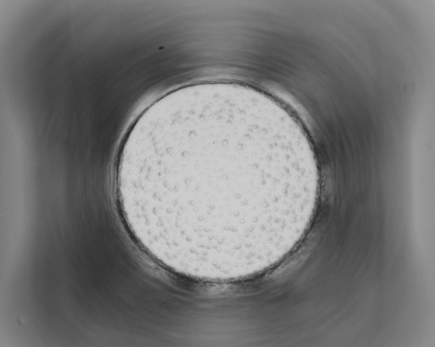 X0000111141467200908111104