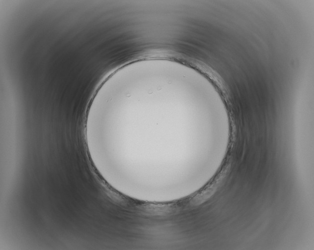 X0000111141473200908111104