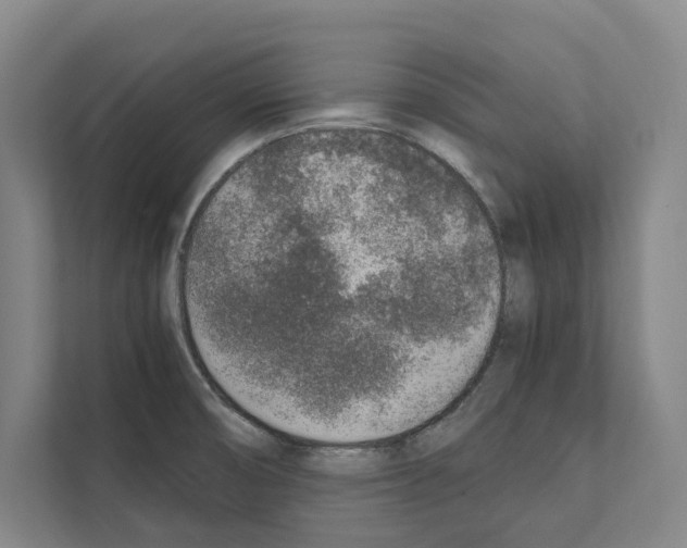 X0000111141474200908111104