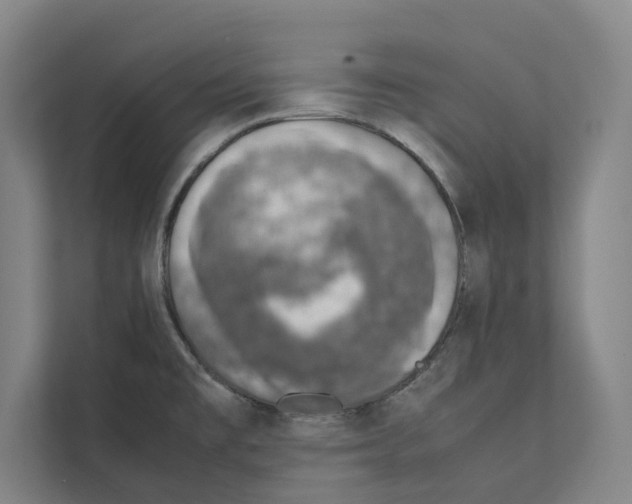 X0000111141477200908111104