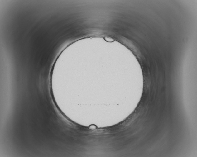 X0000111141479200908111104