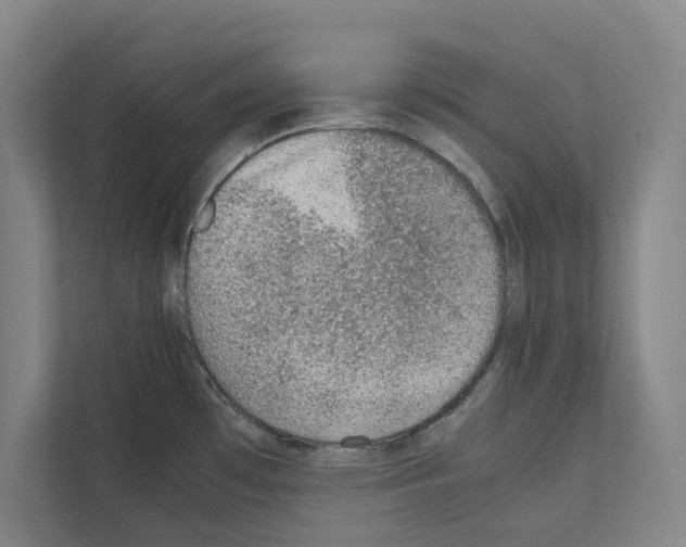 X0000111141481200908111104