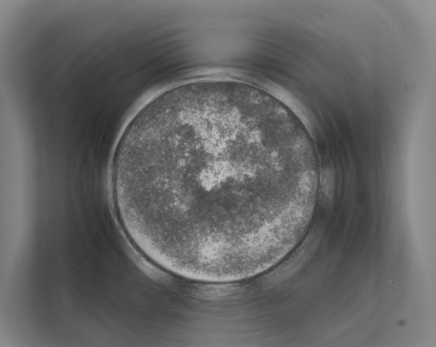 X0000111141482200908111104