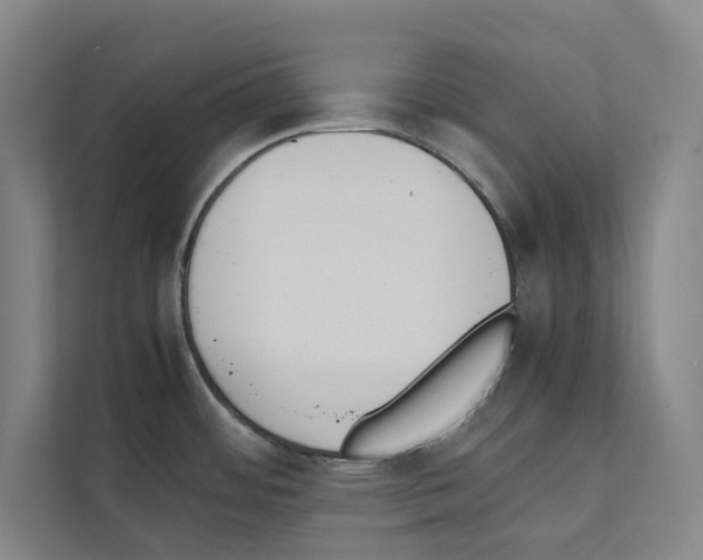 X0000111141484200908111104