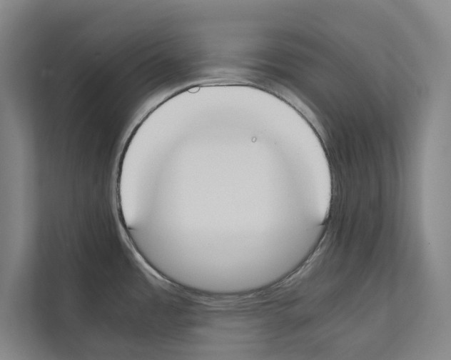 X0000111141485200908111104