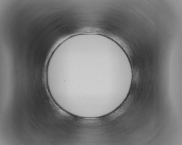 X0000111141486200908111104