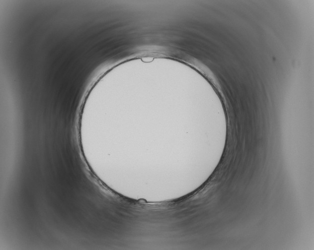 X0000111141488200908111104