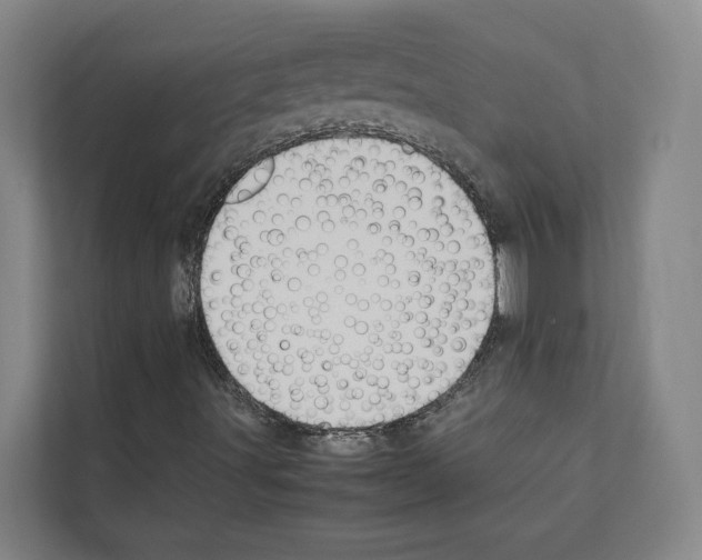 X0000111141491200908111103