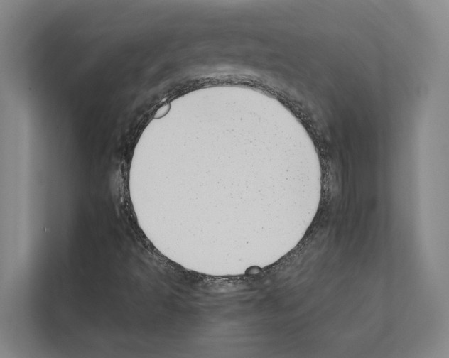 X0000111141493200908111103