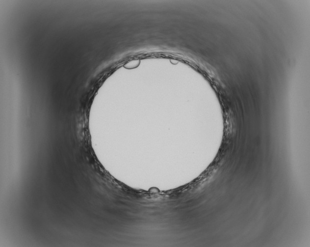 X0000111141494200908111103