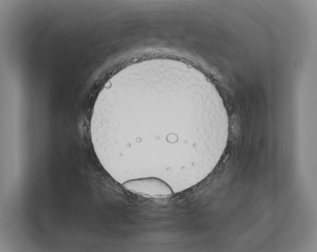 X0000111141495200908111103