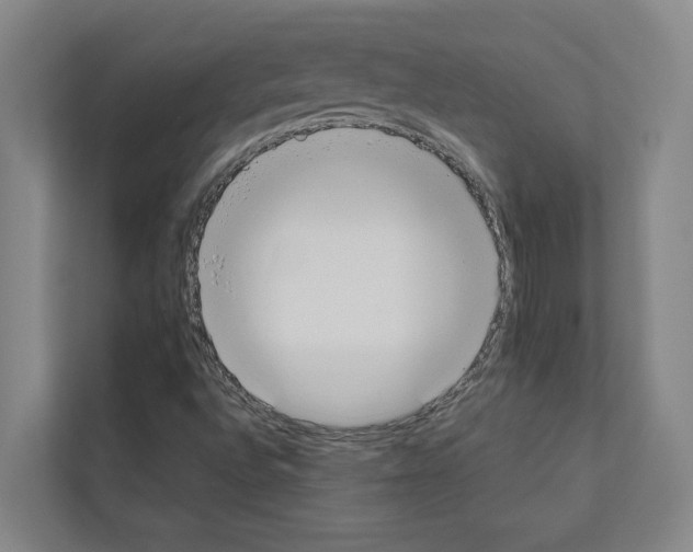 X0000111141496200908111103