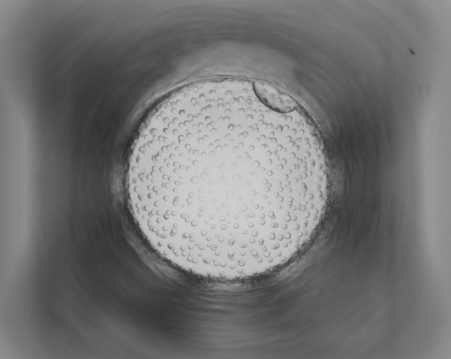 X0000111141499200908111103