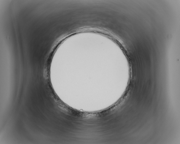 X0000111141501200908111103