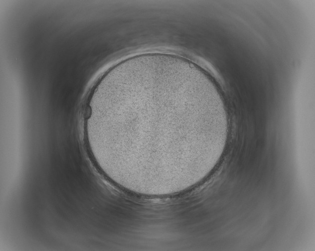 X0000111141504200908111103