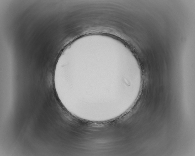 X0000111141505200908111103