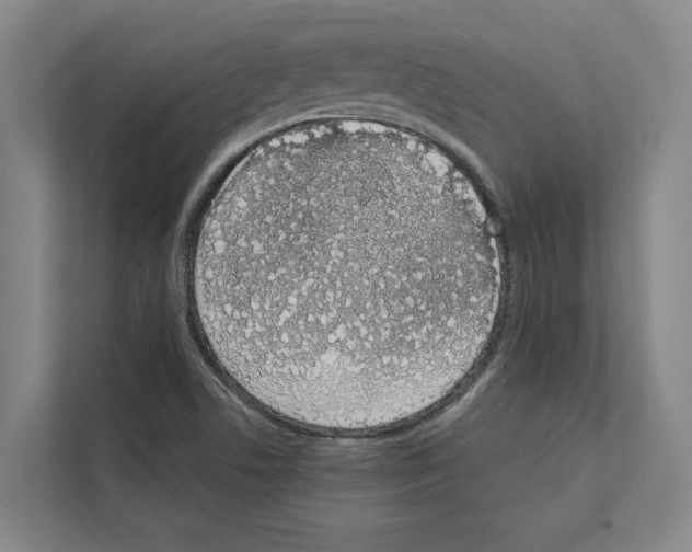 X0000111141506200908111103