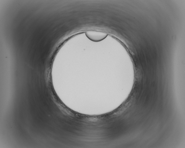 X0000111141507200908111103