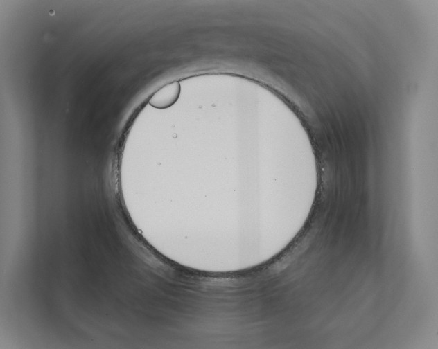 X0000111141510200908111103