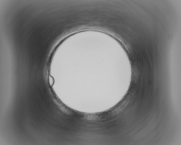 X0000111141511200908111103