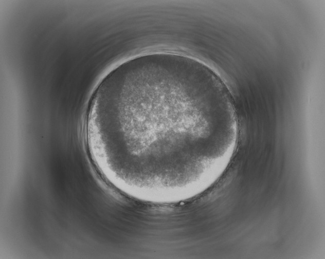 X0000111141515200908111103