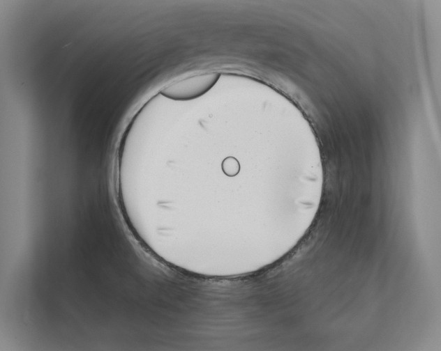 X0000111141520200908111103