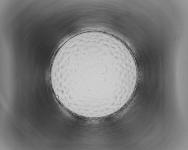 X0000111141521200908111103