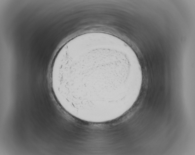 X0000111141522200908111103