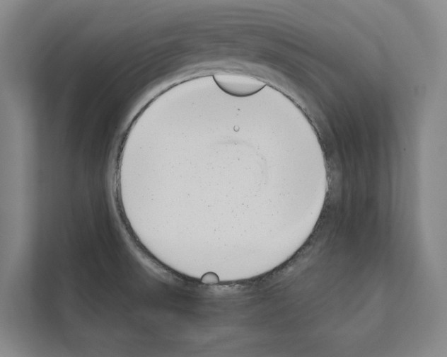 X0000111141523200908111103