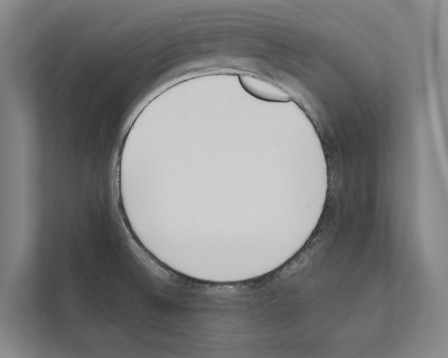 X0000111141524200908111104