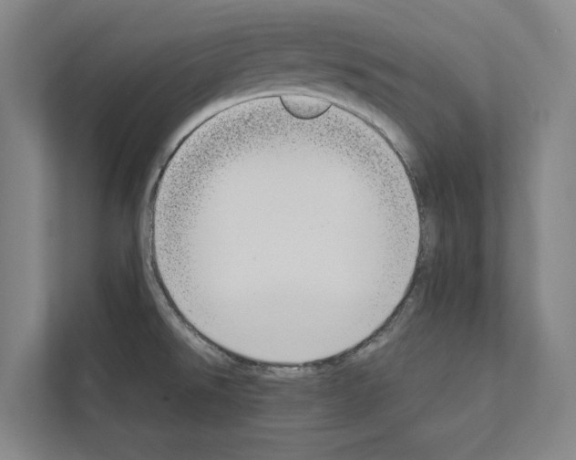 X0000111141526200908111104