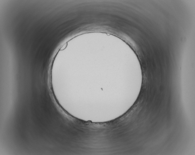 X0000111141528200908111104