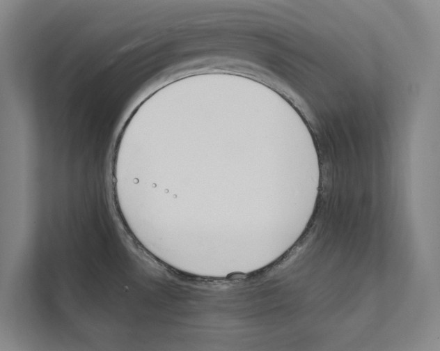 X0000111141530200908111104