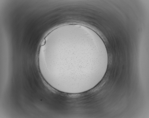 X0000111141535200908111104