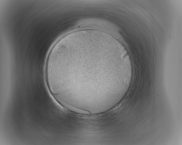 X0000111141536200908111104