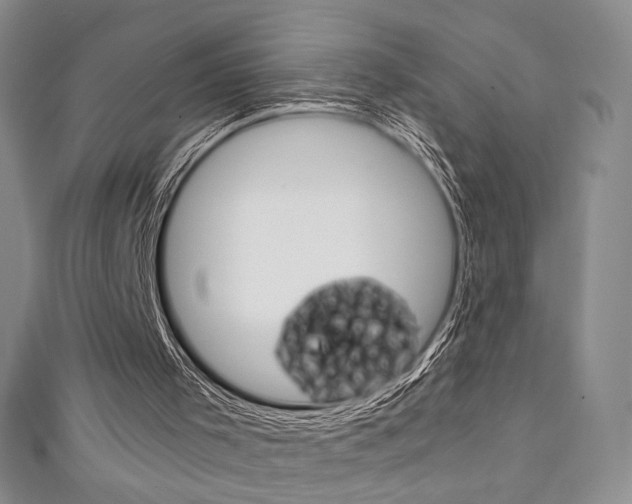 X0000111150001200906301047