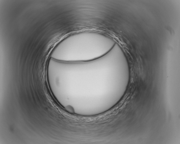 X0000111150002200906301047