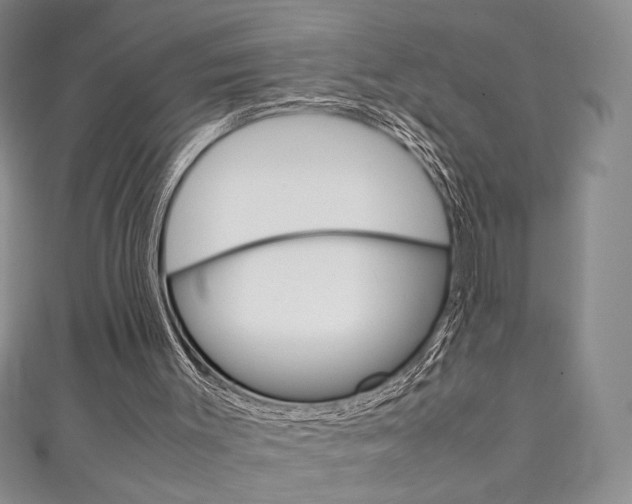 X0000111150003200906301047