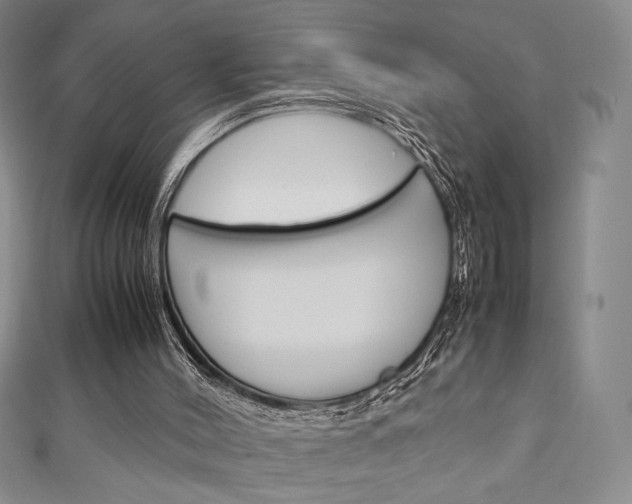 X0000111150004200906301047