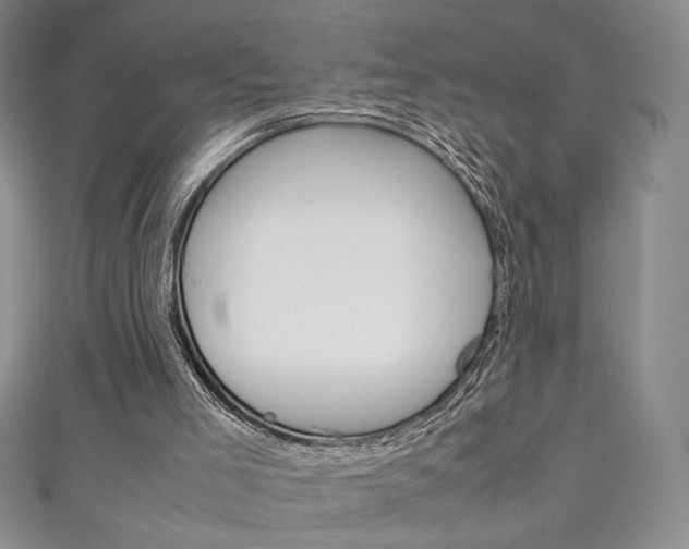 X0000111150005200906301047