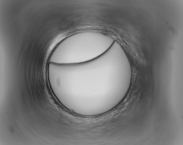 X0000111150006200906301047