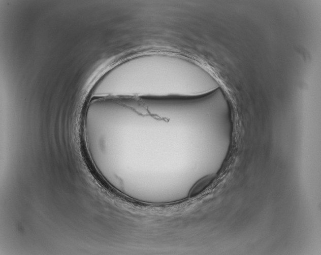 X0000111150007200906301047